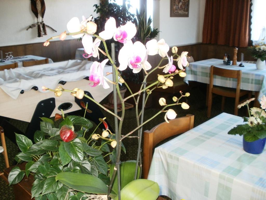 Hotel Pez Ault Disentis Exteriör bild